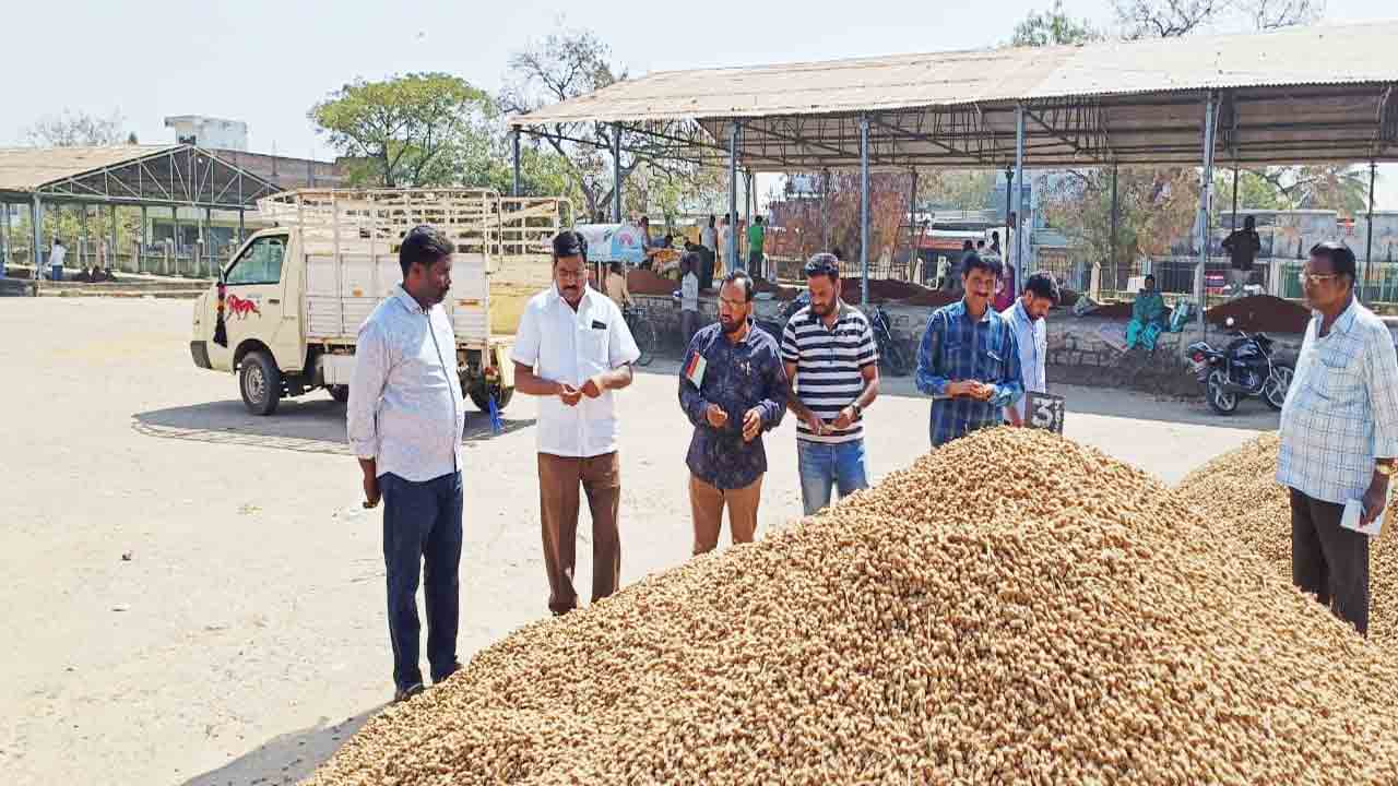 రికార్డు ధరలు పలుకుతున్న వేరుశనగ