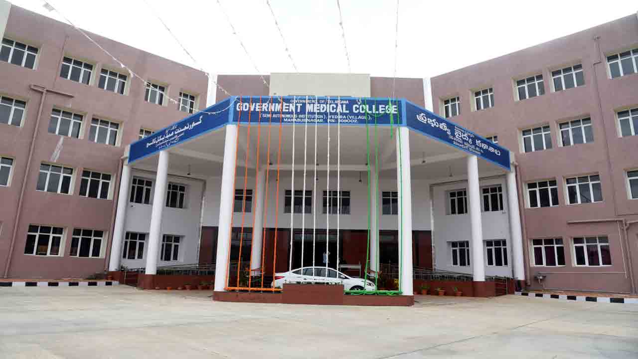 మెడికల్‌ హబ్‌గా మహబూబ్‌నగర్‌