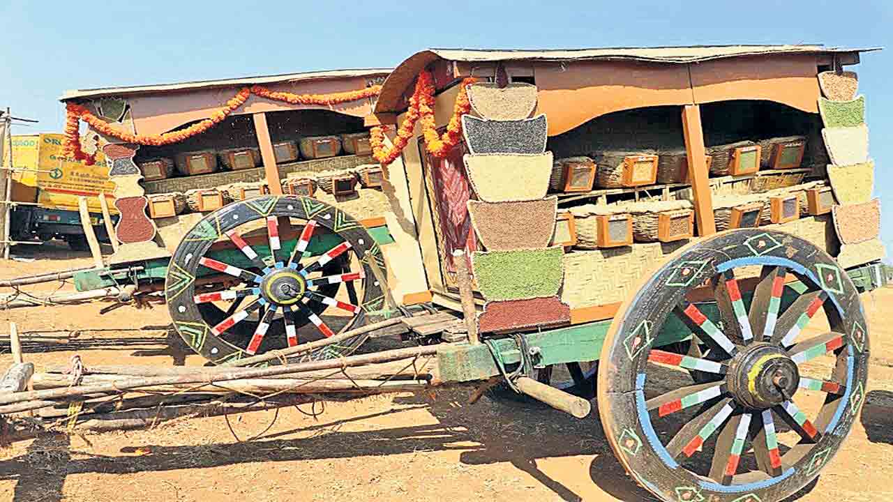 చిరుధాన్యాలు మన పంటలు