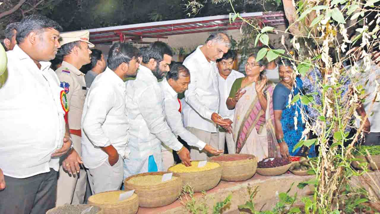 మహిళా రైతుల అభివృద్ధికి కృషి