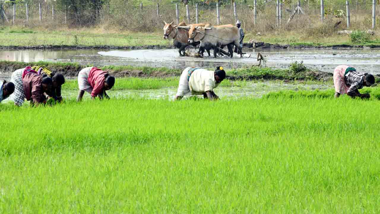 పదింతల ఆనందం