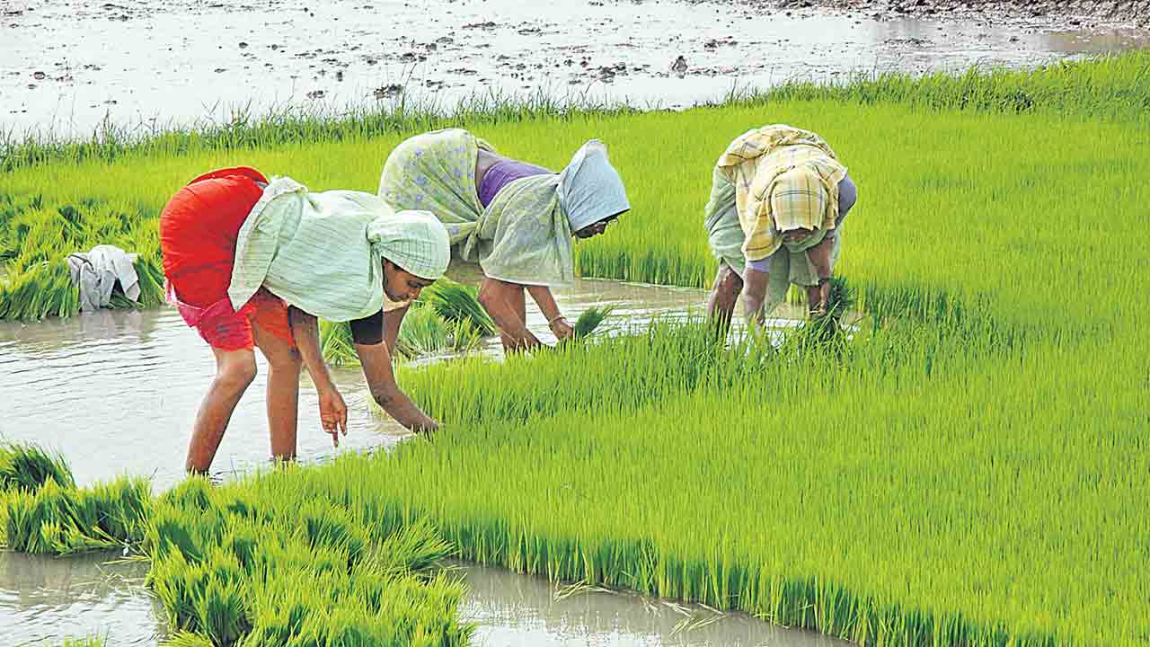 చెరువు మురిసే చేను మెరిసే