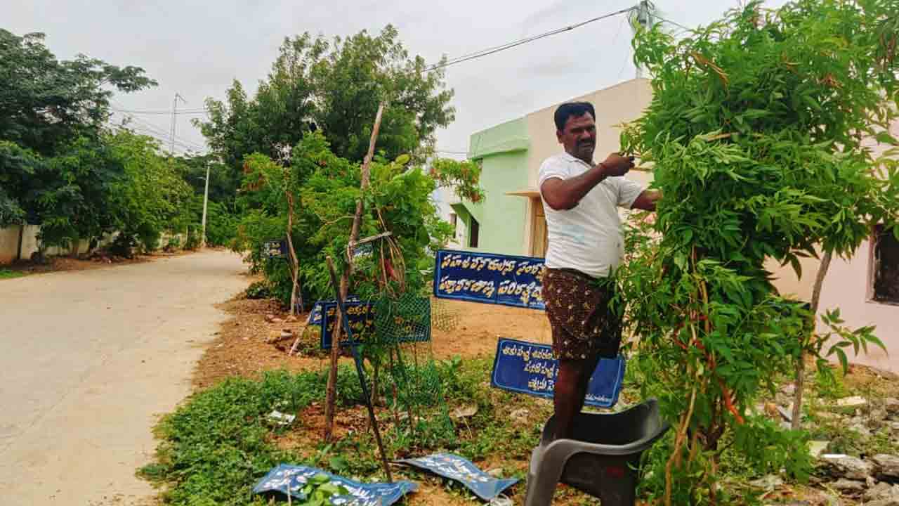 హరిత ప్రేమికుడు నిత్య శ్రామికుడు