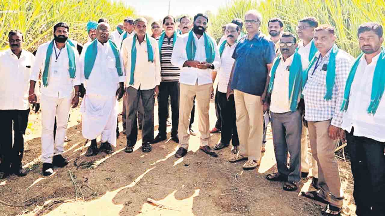 చెరుకు సాగుపై క్షేత్ర పరిశీలన
