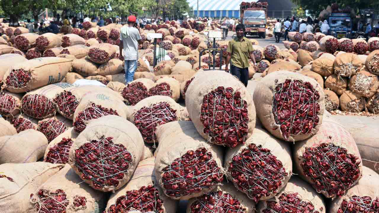 కల్లాల వద్దే మిర్చి కొనుగోళ్లు