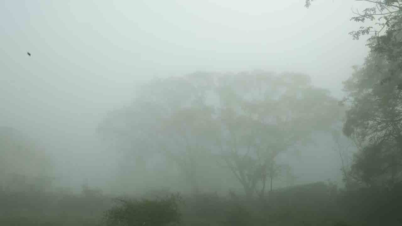 రాష్ట్రంలో దట్టంగా కమ్మేసిన మంచు