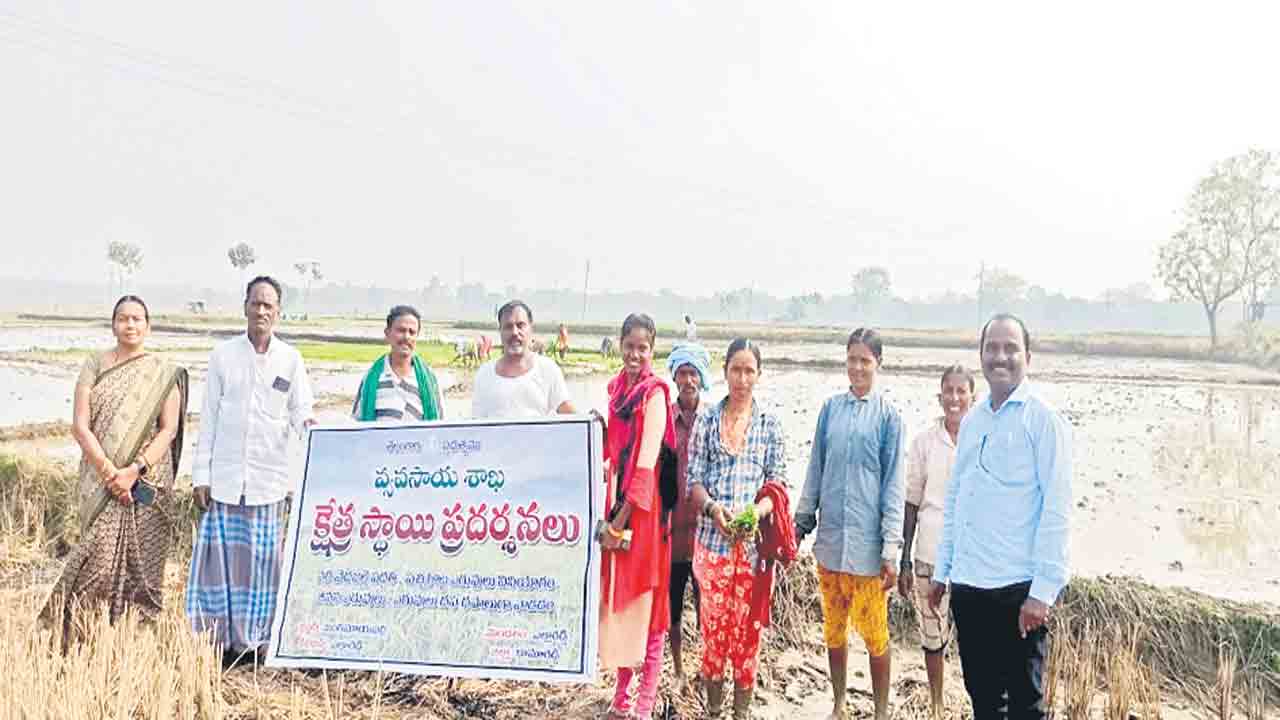 సేంద్రియ ఎరువులను వినియోగించాలి