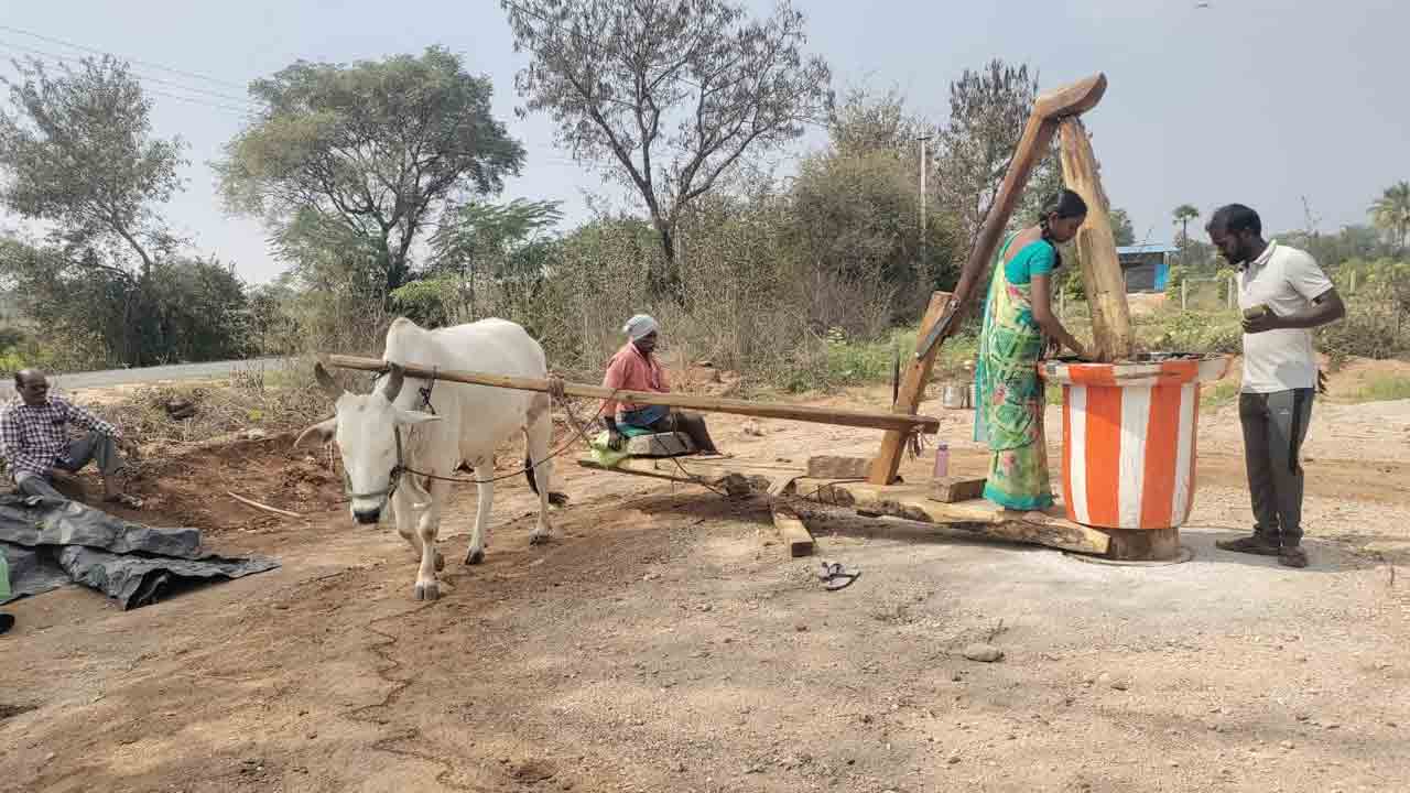 కట్టె గానుగతో స్వచ్ఛమైన నూనె