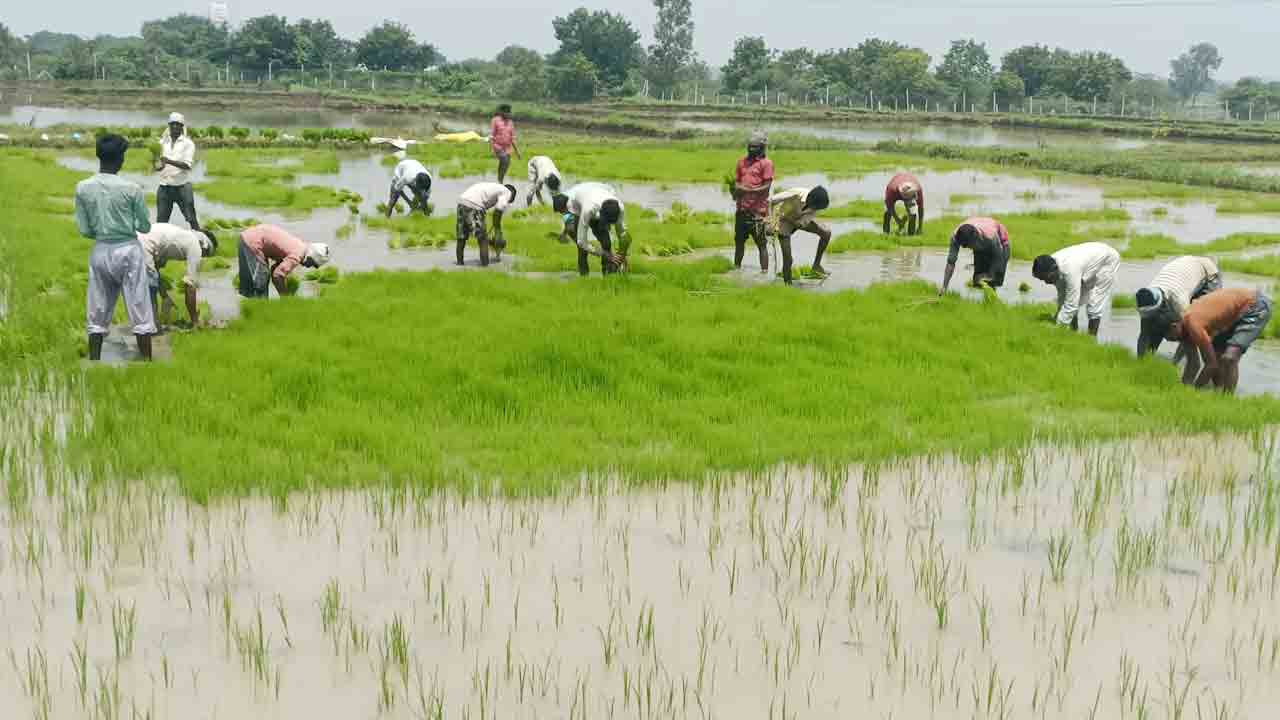 రైతు ఆదాయంపై కేంద్రం పన్ను?