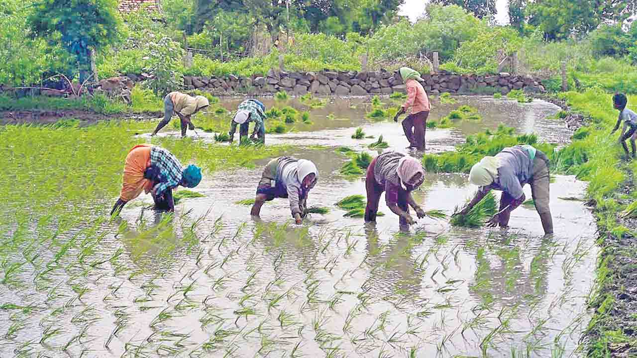 ఉరూరా రైతుబంధు.. సంబురం..
