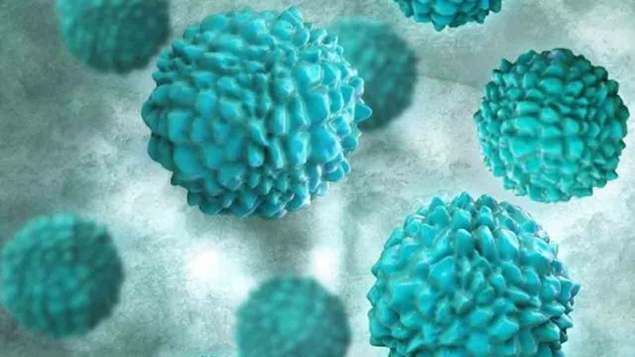 Norovirus | కేరళలో నోరో వైరస్‌ కలకలం.. 19 మంది విద్యార్థులకు పాజిటివ్‌..!