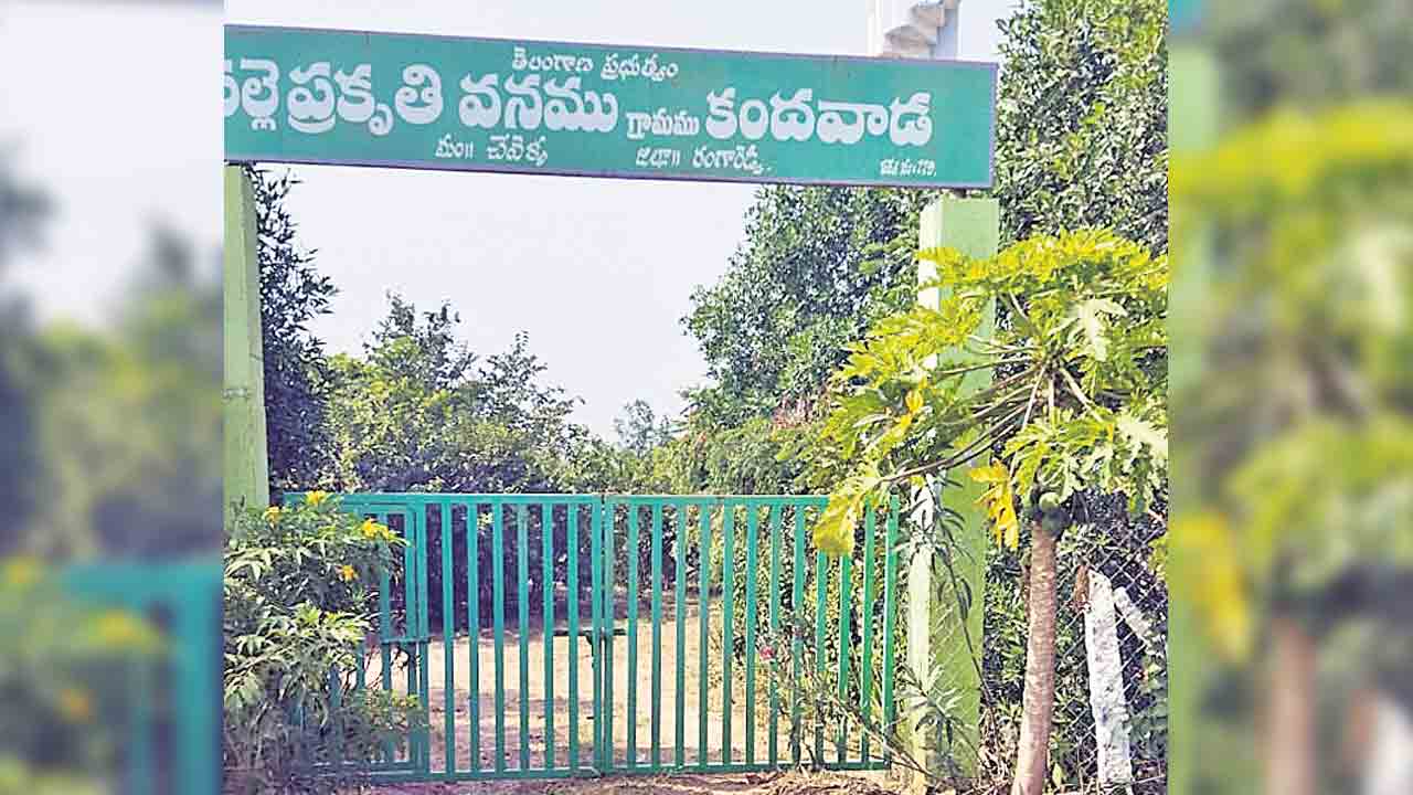 కందవాడ అభివృద్ధి.. కనులకింపుగా..