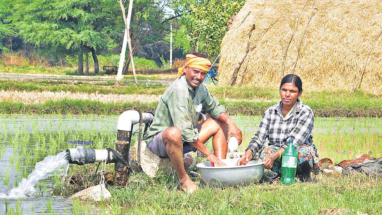 ఏనాడైనా ఇచ్చిండ్రా.. రైతుబంధు పైసలతో జోరుగా సాగు