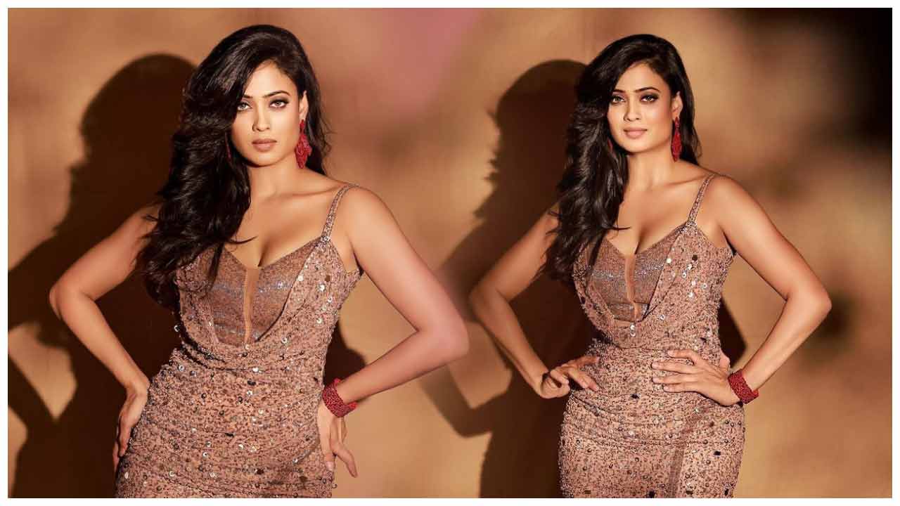 Shweta Tiwari | శ్వేతా తివారీ అందాల విందు..