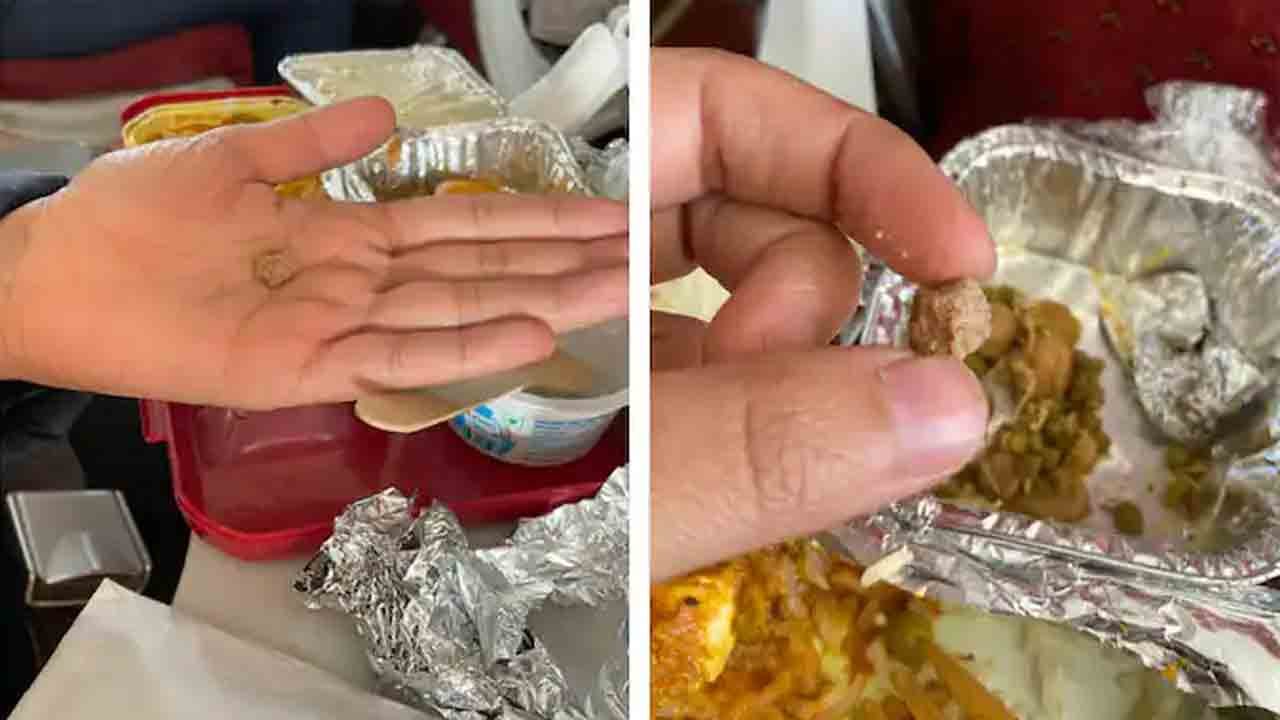 Air India | వివాదాల్లో ఎయిర్ ఇండియా.. ప్ర‌యాణికుల భోజ‌నంలో `రాయి`