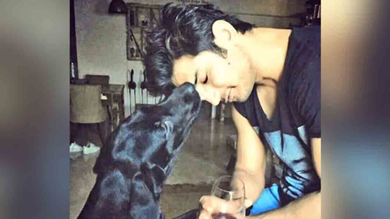 సుశాంత్‌ సింగ్‌ పెంపుడు శునకం మృతి.. స్వర్గంలోని స్నేహితుడి వద్దకు వెళ్లిందంటూ పోస్ట్‌..!