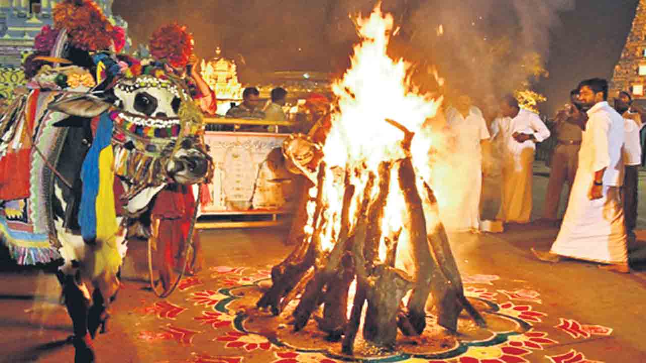 సంక్రాంతి పండుగ వచ్చే ఓ లచ్చా గుమ్మాడి