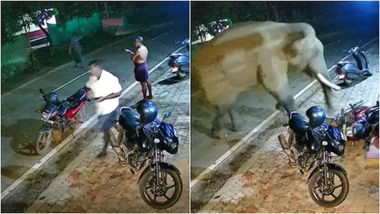 వైర‌ల్ వీడియో : మెయిన్ రోడ్‌పై వాహ‌నాలు పార్క్ చేస్తే ఏమ‌వుతుందంటే..!