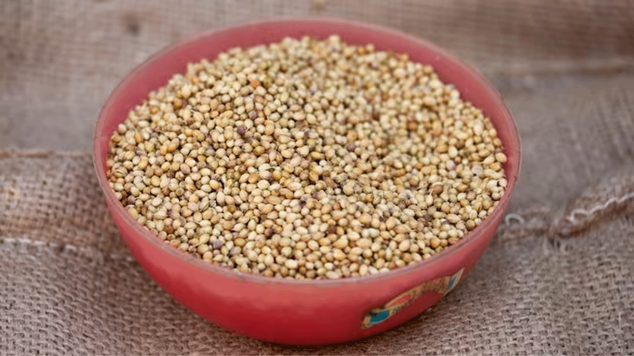 Health Tips | ఈ పానీయాల‌తో గ్యాస్‌, క‌డుపుబ్బ‌రం, అజీర్తికి చెక్‌