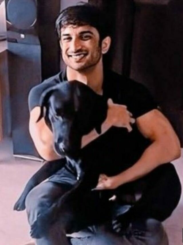 సుశాంత్‌ సింగ్‌ పెంపుడు కుక్క మృతి.. ఫ్యాన్స్‌ భావోద్వేగం