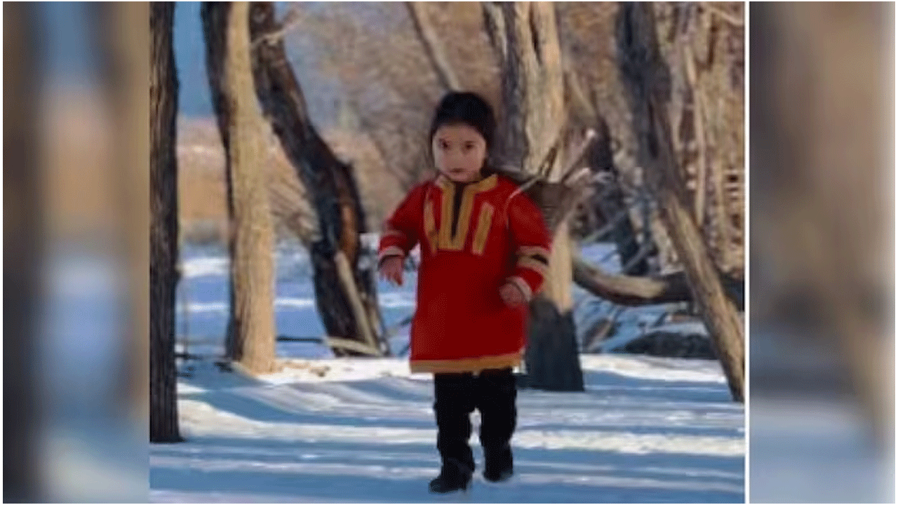 వైర‌ల్ వీడియో : ఎముక‌లు కొరికే చ‌లిలో క‌ట్టెలు సేక‌రించిన చిన్నారి