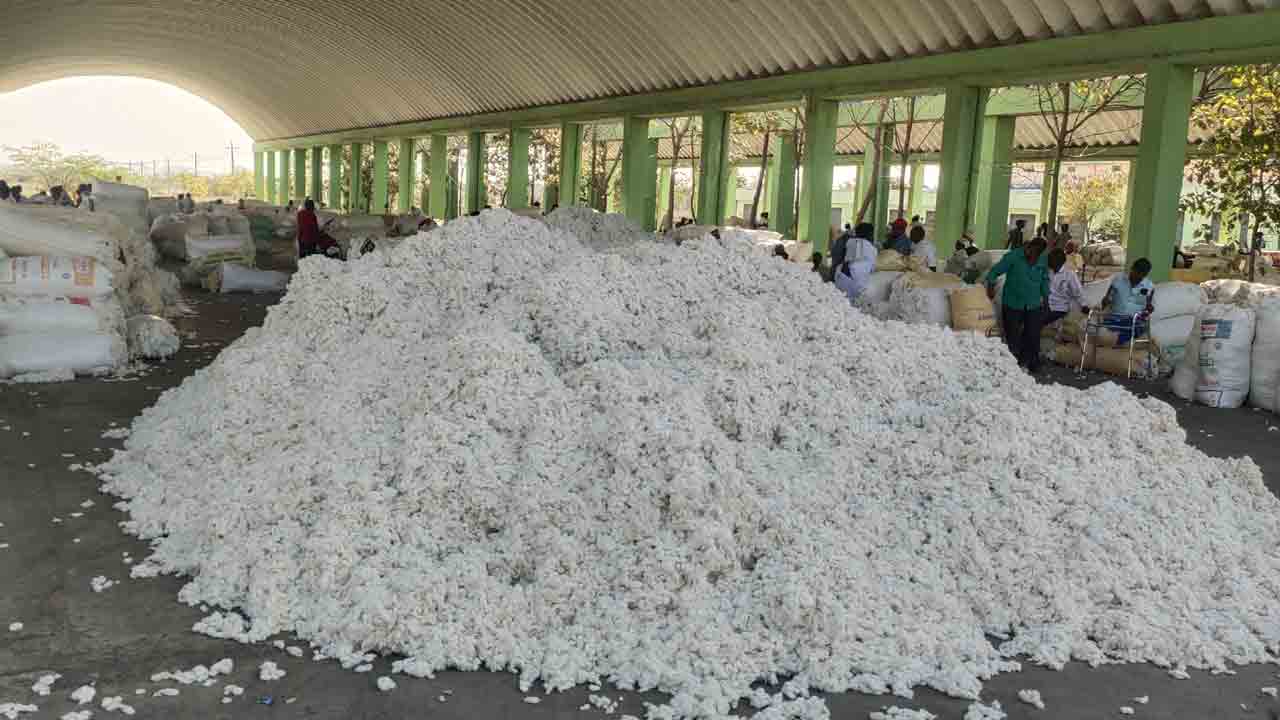 వన్నె తగ్గిన తెల్లబంగారం