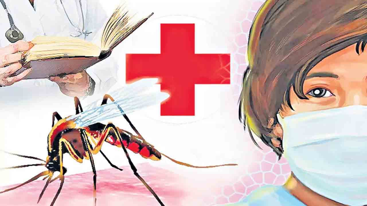 నగరాన్ని.. వేధిస్తున్న ‘ఫ్లూ’