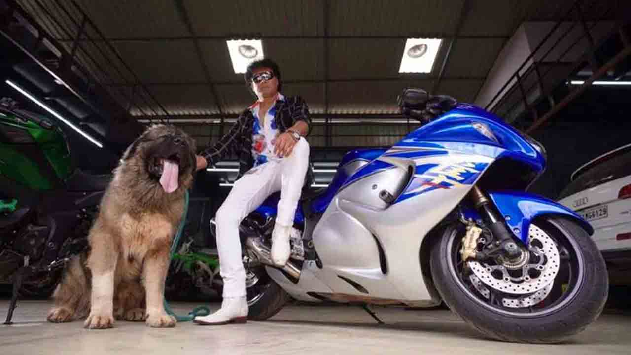 ఆ కుక్క ధ‌ర రూ. 20 కోట్లు.. ప్ర‌త్యేక‌త‌లు ఏంటంటే..?