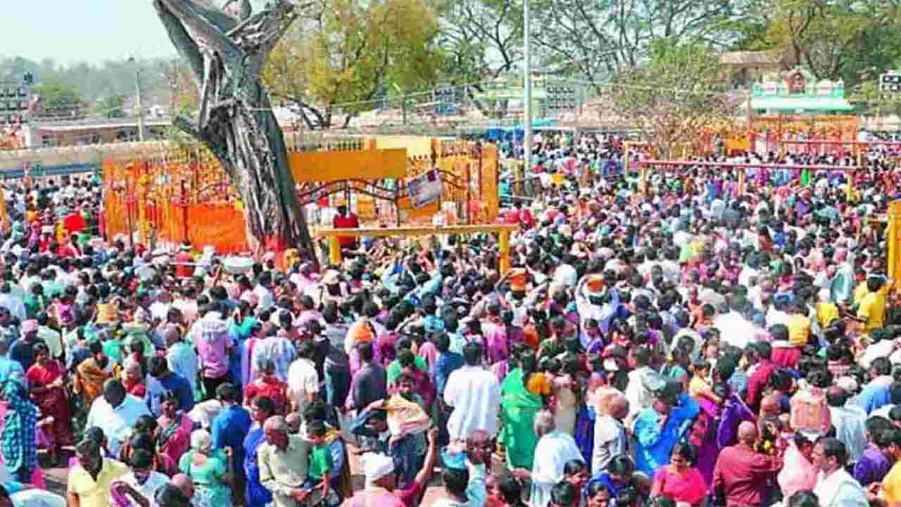 మినీ మేడారం జాతరకు ఆర్టీసీ ప్రత్యేక బస్సులు