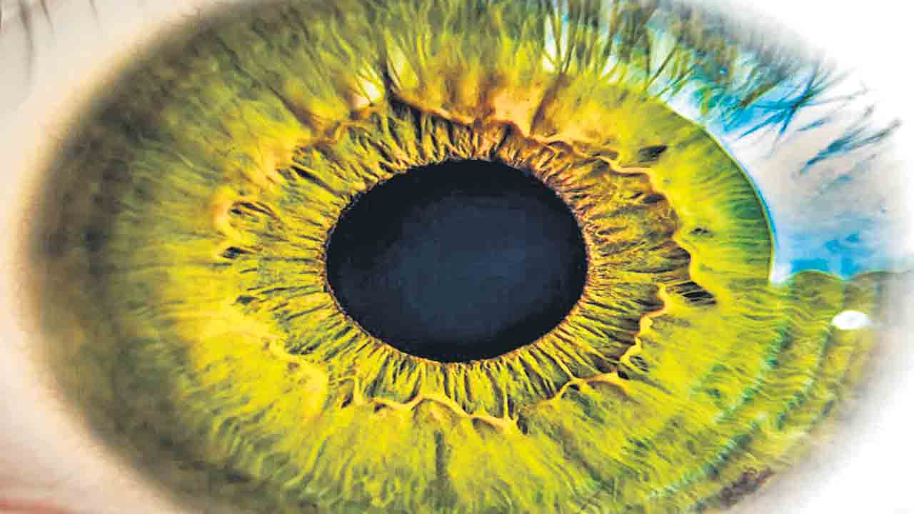 మానసిక ఒత్తిడితోనూ అంధత్వం