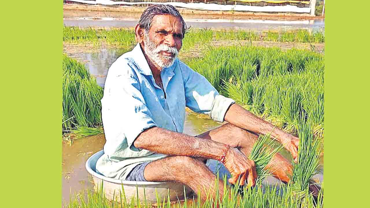 హుషారుగా ఎవుసం జేస్తున్న.. గిట్లాంటి రోజులు వస్తయనుకోలే..