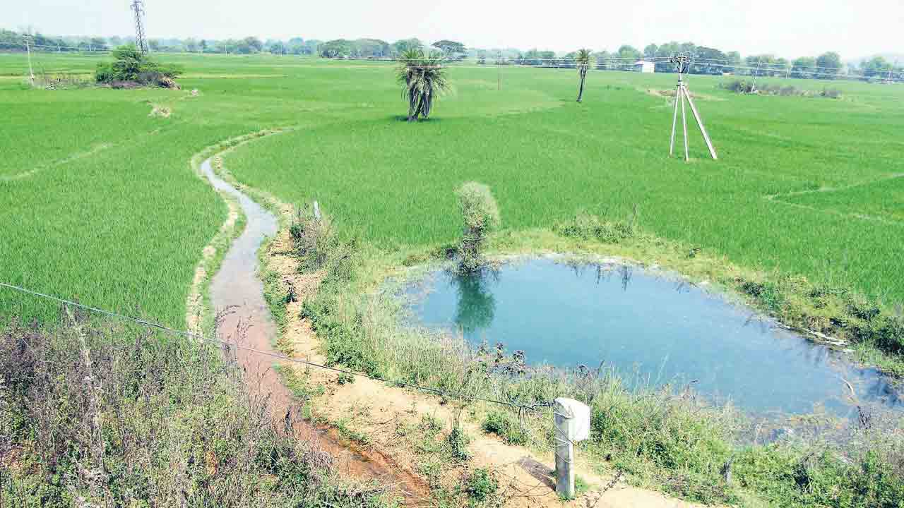 మన వాటర్‌ వెరీ ‘ప్యూర్‌’