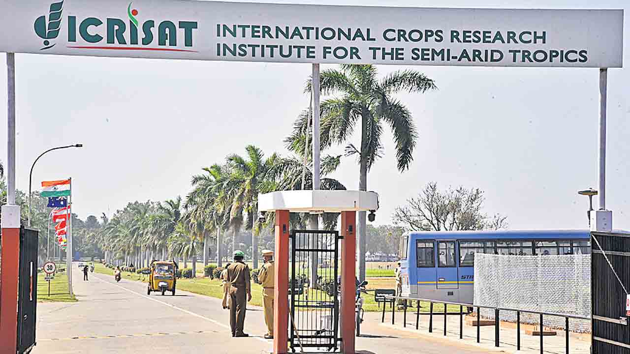 అన్నదాతకు ఆగ్రో డేటా