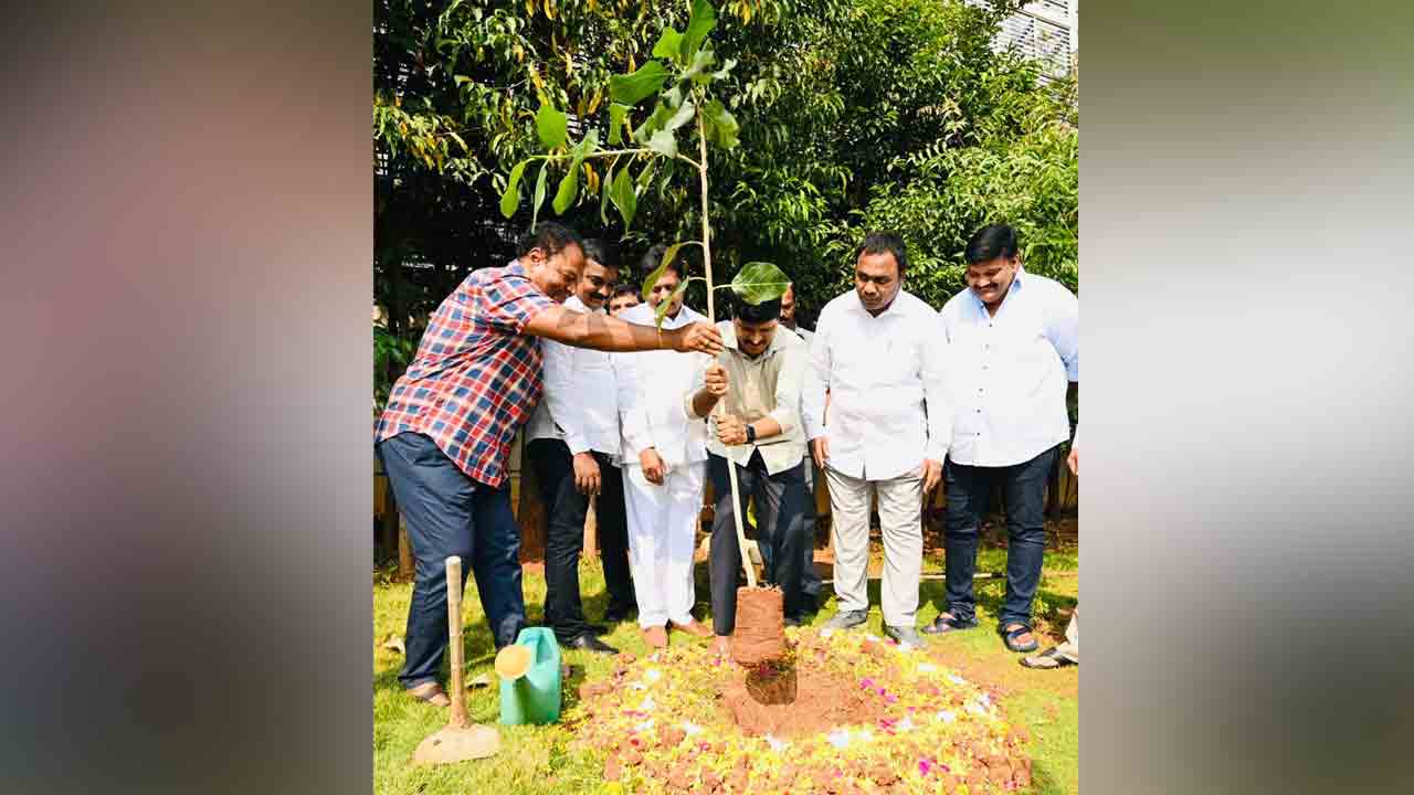 కొత్త నిర్ణయంలో మొక్కలు నాటడం చేర్చాలి : ఎంపీ జోగినిపల్లి సంతోష్ కుమార్