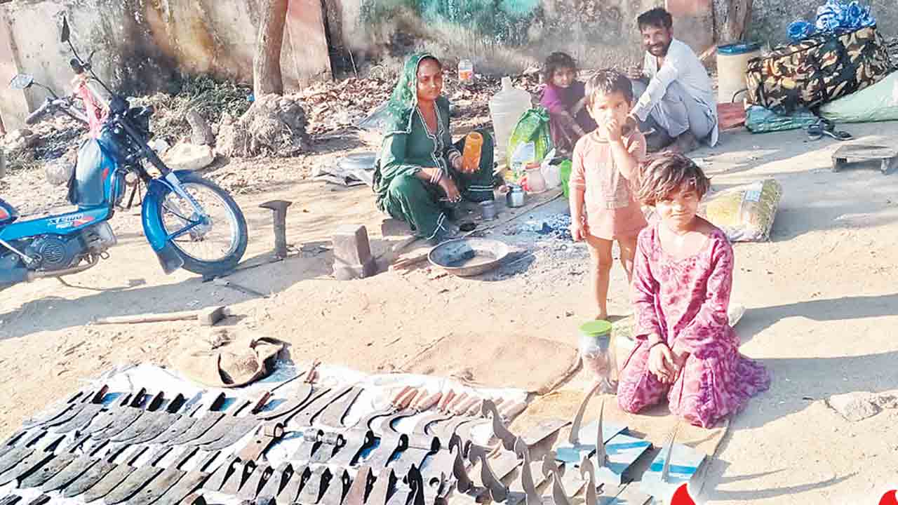 రాజస్థానీలకు ఉపాధి