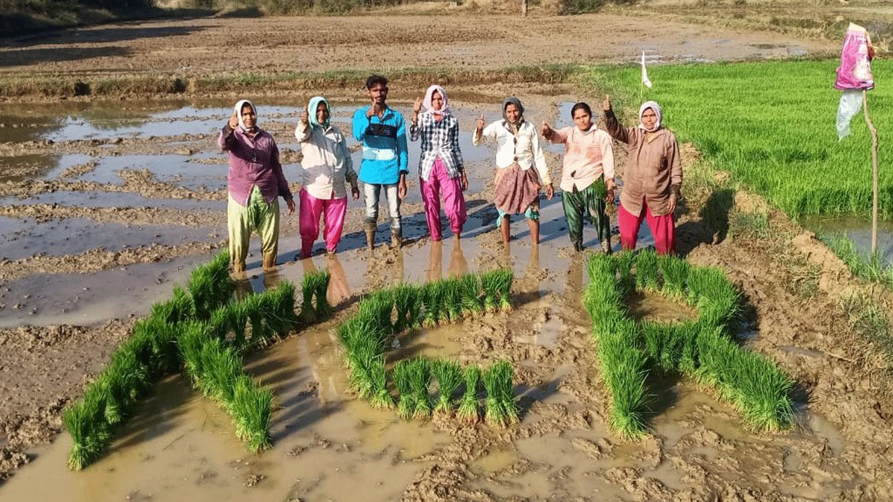 అన్నదాతలకు కేసీఆరే శ్రీరామరక్ష