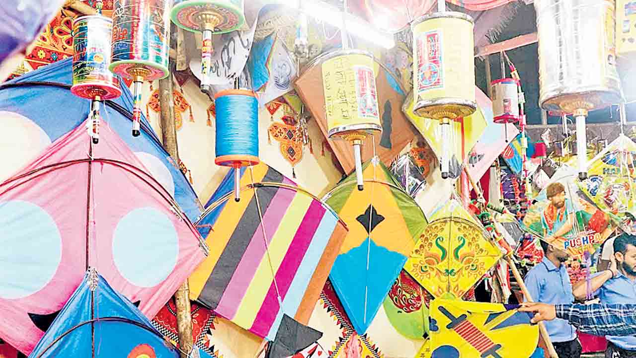 పతంగుల్లా జీవరాశినీ ఎగురనిద్దాం!