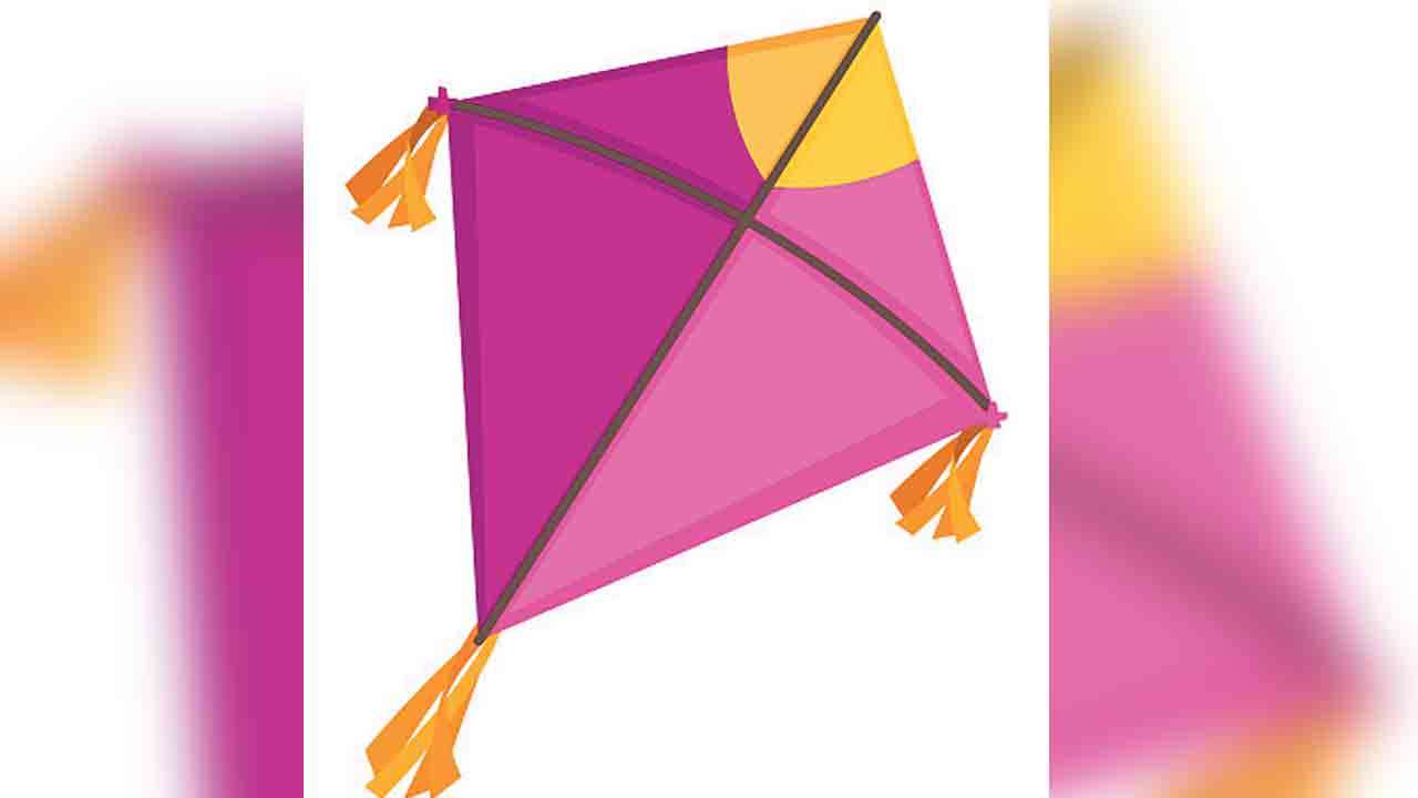 జాగ్రత్తగా!.. పతంగులు పండుగ