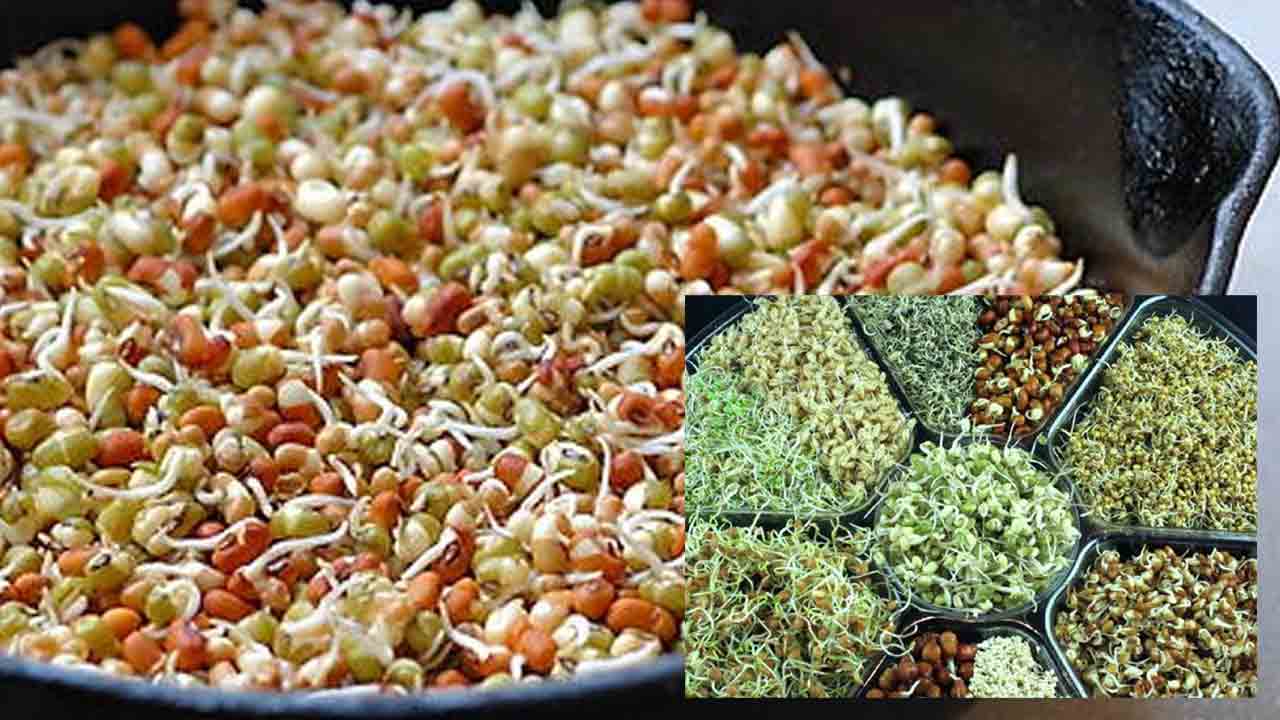 మొలకలు..ఆరోగ్య సిరులు