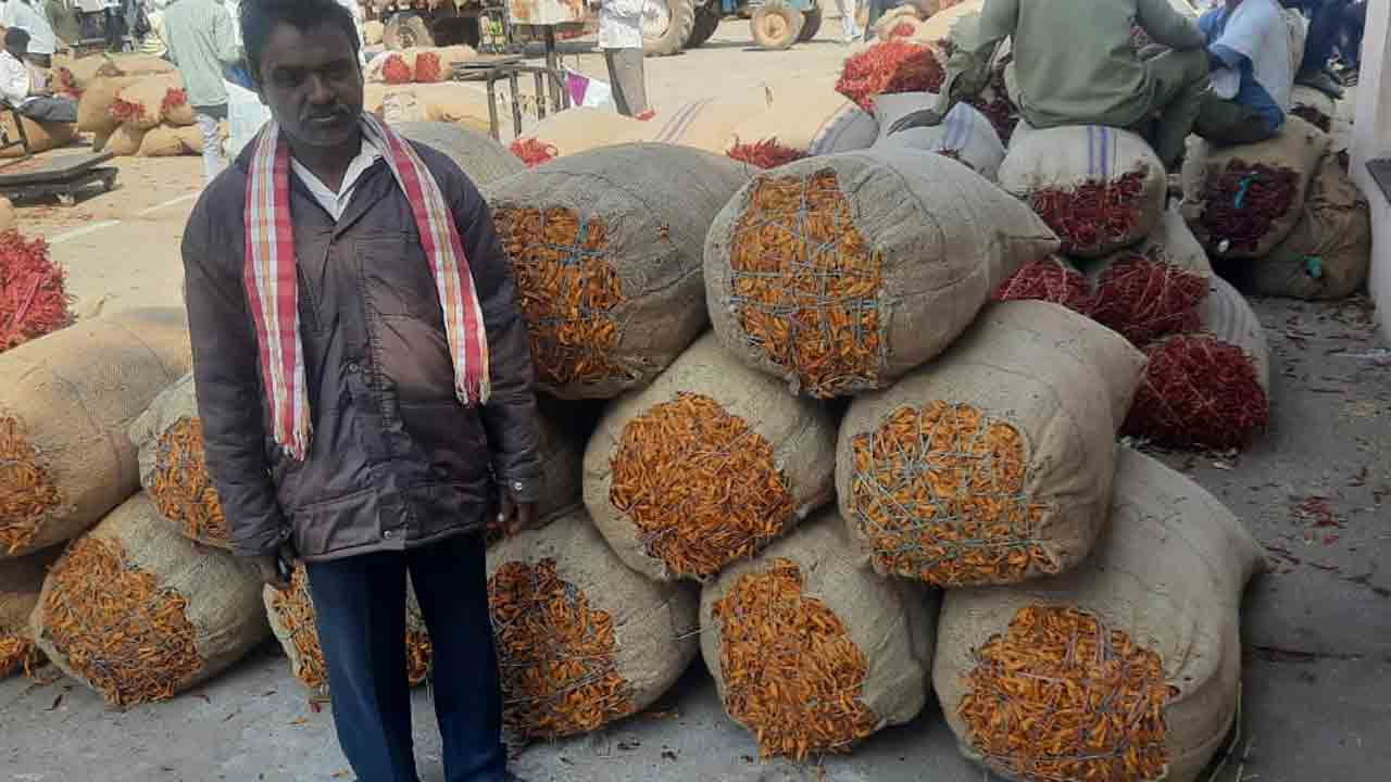 ఎనుమాముల మార్కెట్‌కు ఎల్లో మిర్చి.. మార్కెట్‌ చరిత్రలోనే మొదటిసారి..