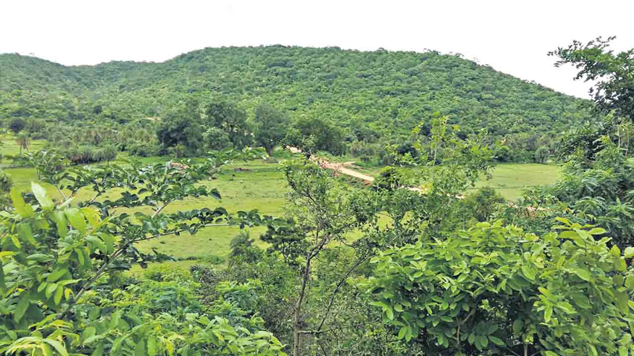 అనంతగిరి.. ఔషధ సిరి