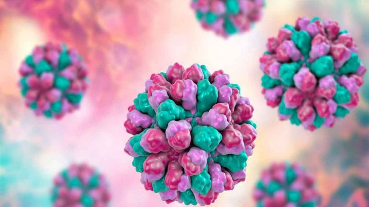 నోరోవైర‌స్‌..  కేరళలో 1 నుంచి 5వ‌ త‌ర‌గతి విద్యార్థుల‌కు సెల‌వులు