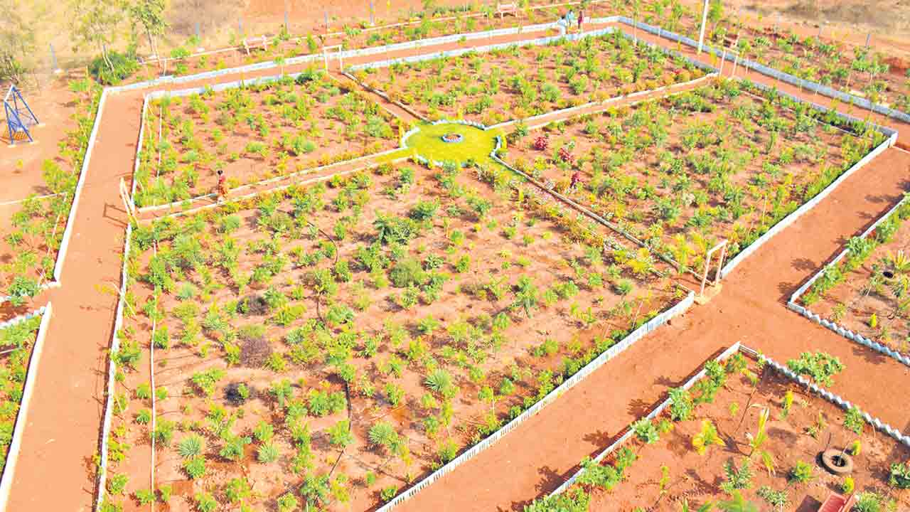 పచ్చదనం పరిఢవిల్లేలా..