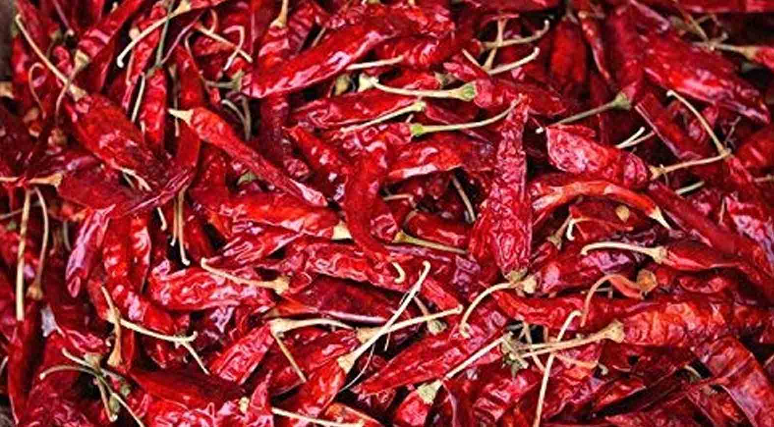 దేశీరకం మిర్చి @ రూ.40వేలు