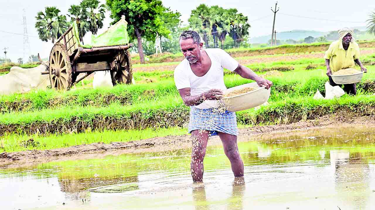 రైతుబంధుతో సాగు పండగై..