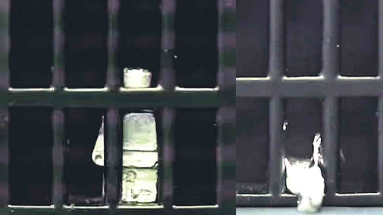 ‘టర్మినేటర్‌ 2’లాంటి రోబో