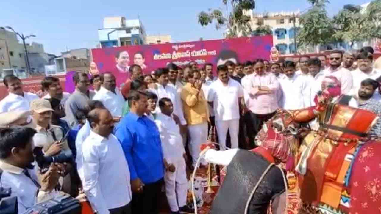 పండుగలకు పూర్వ వైభవం రావాలి : మంత్రి తలసాని