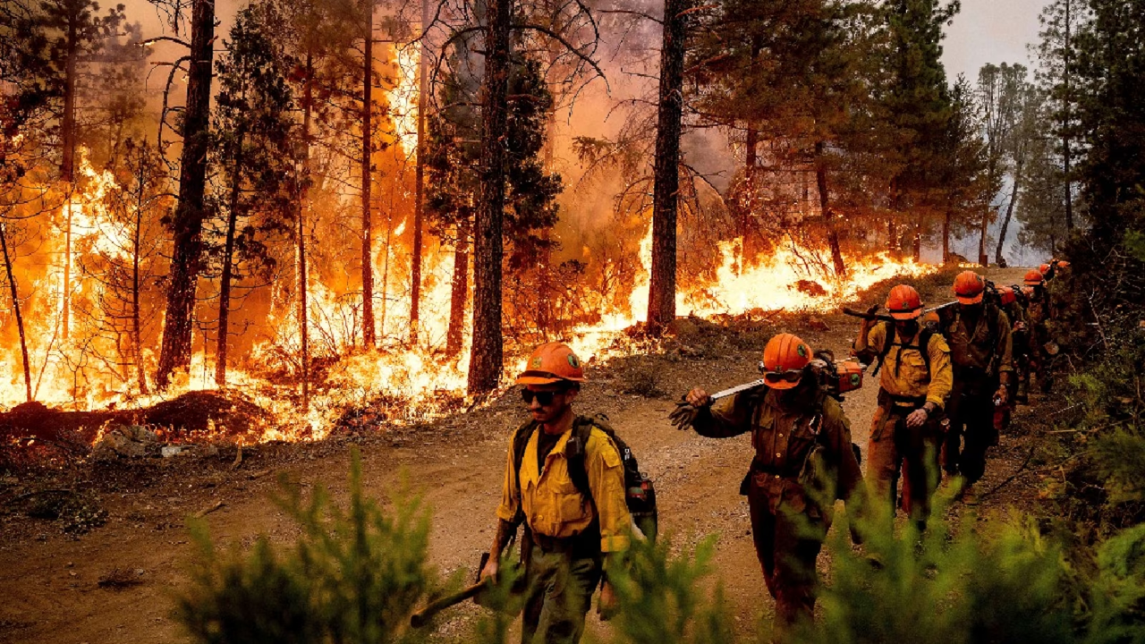 WEF 2023 | కార్చిచ్చును అరిక‌ట్టేందుకు ఆర్టిఫీషియ‌ల్ ఇంటెలిజెన్స్ : ప్ర‌పంచ ఆర్థిక వేదిక‌