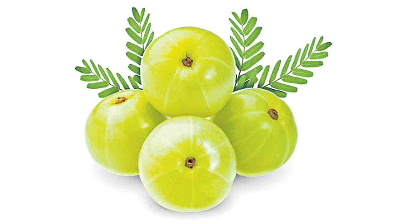 ఉసిరి+కలబంద.. ఆరోగ్య పానీయం