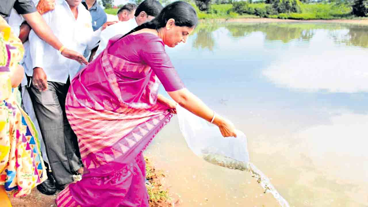 మత్స్యకారుల ఇంట సిరుల పంట